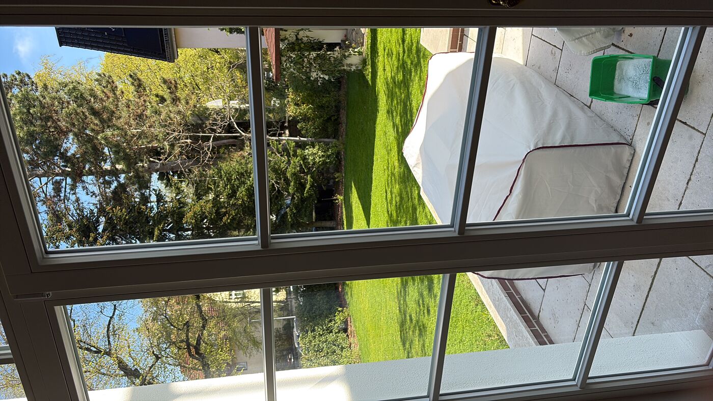Blick durch frisch gereinigte Sprossenfenster in einen Garten
